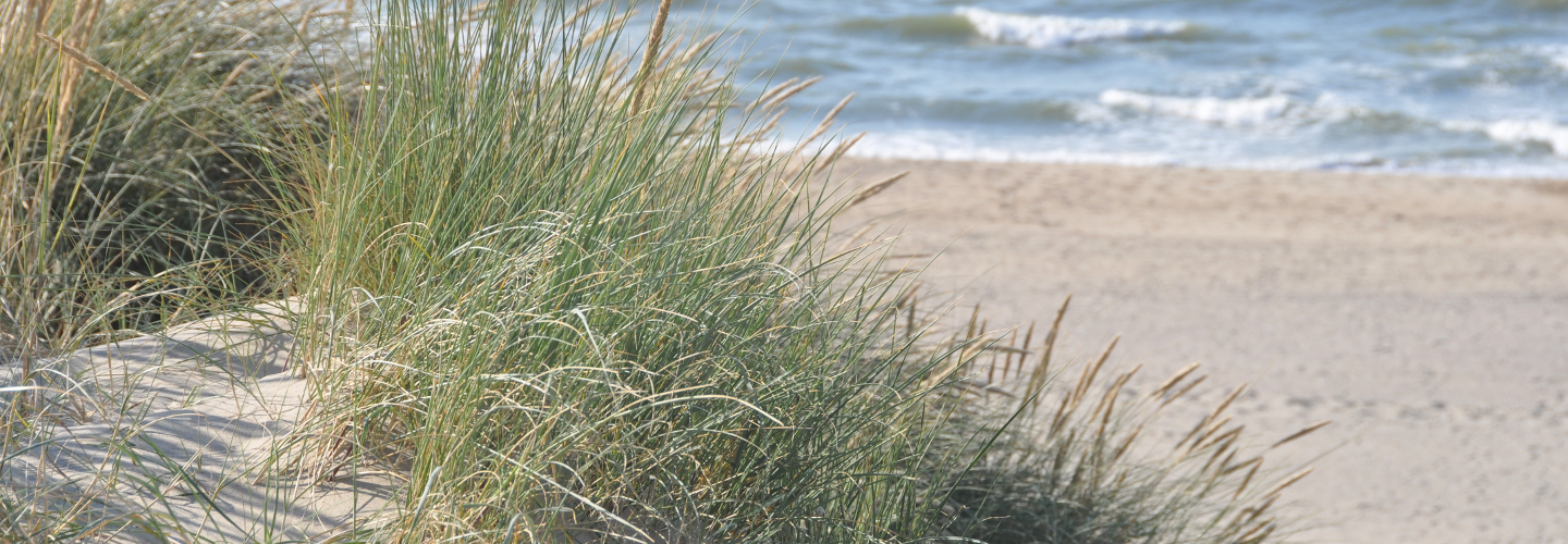 Zeeland Niederlande